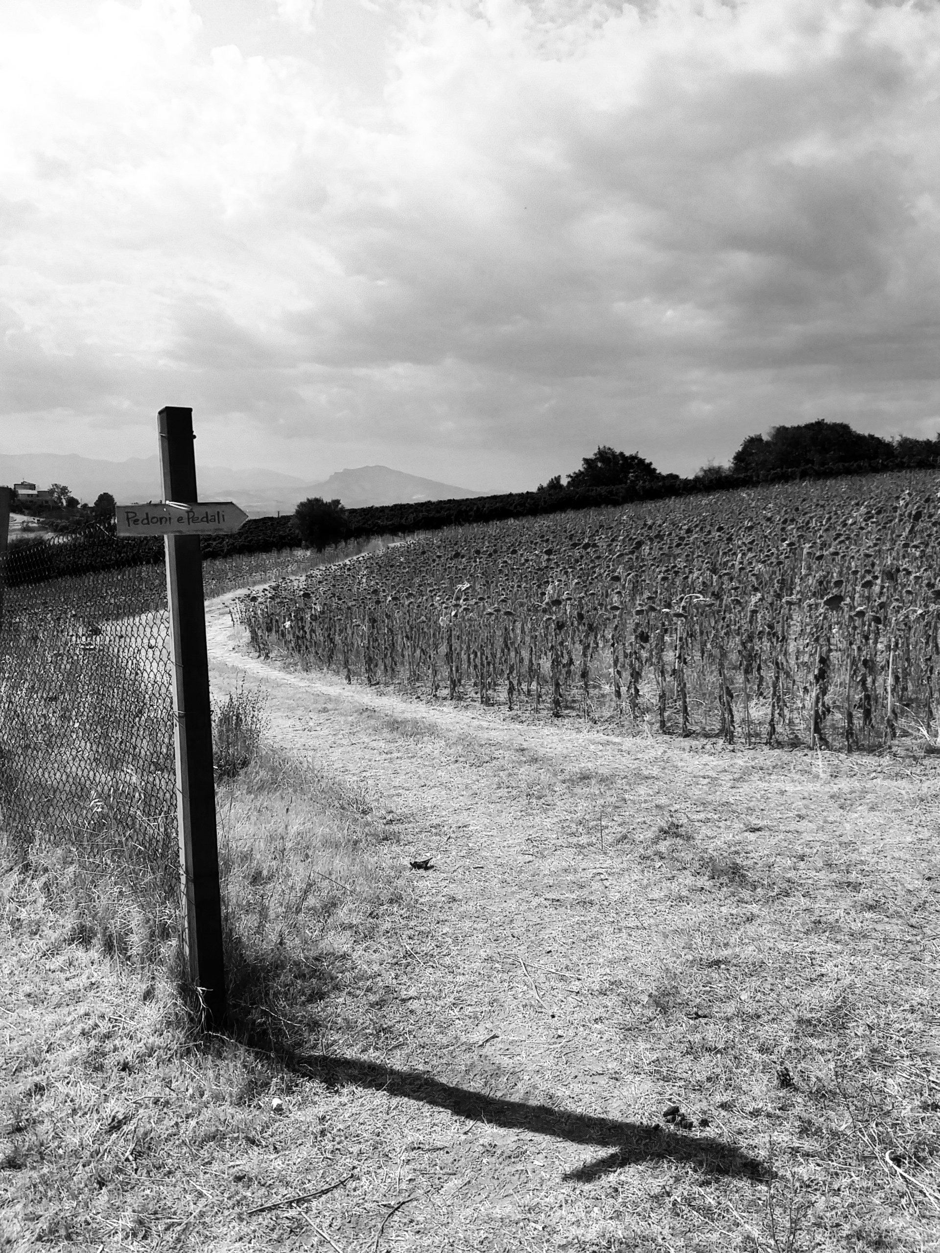 C360_2017-08-19-15-58-31-768