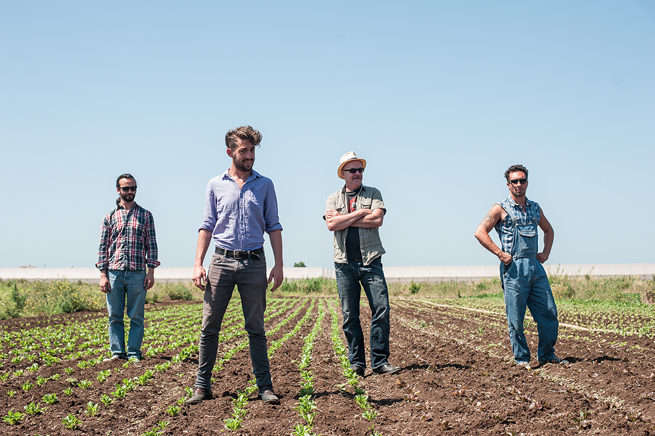 The Harvest 14