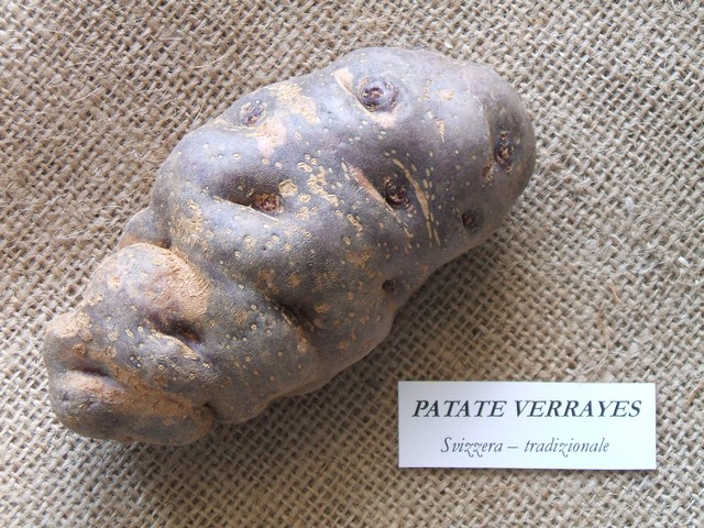 Patata Verrayes