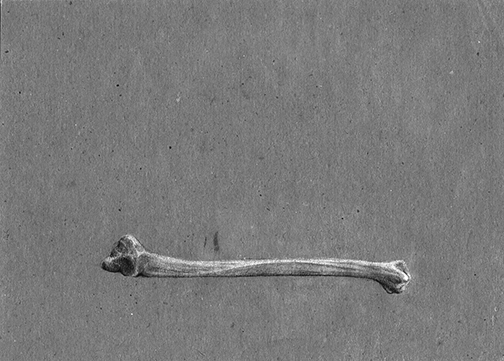 Preghiera Arcaica Delle Cose LA TERRA TREMA