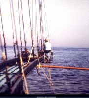 Un mare, un porto, un pesce | incontro