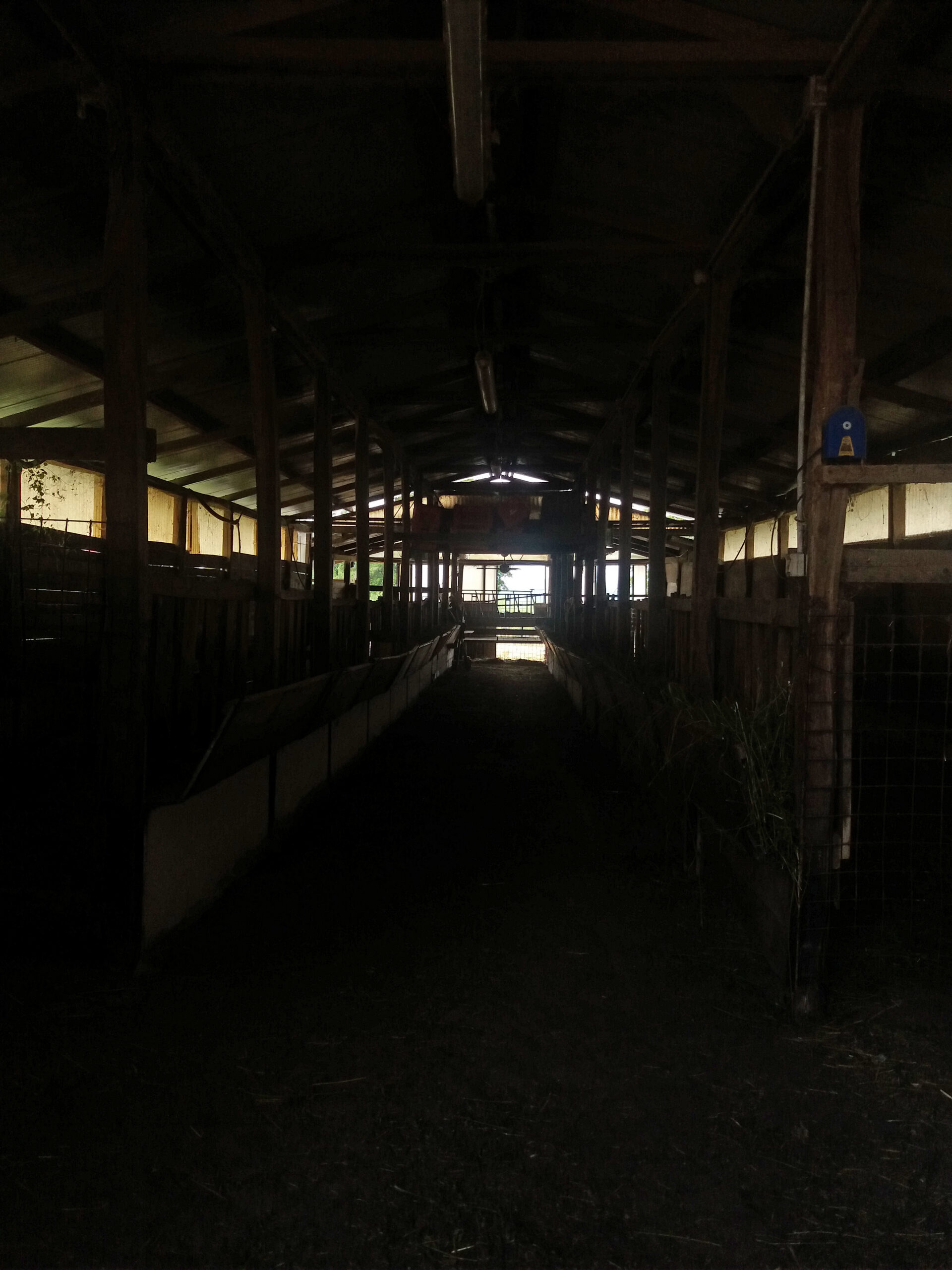 20190727_131946