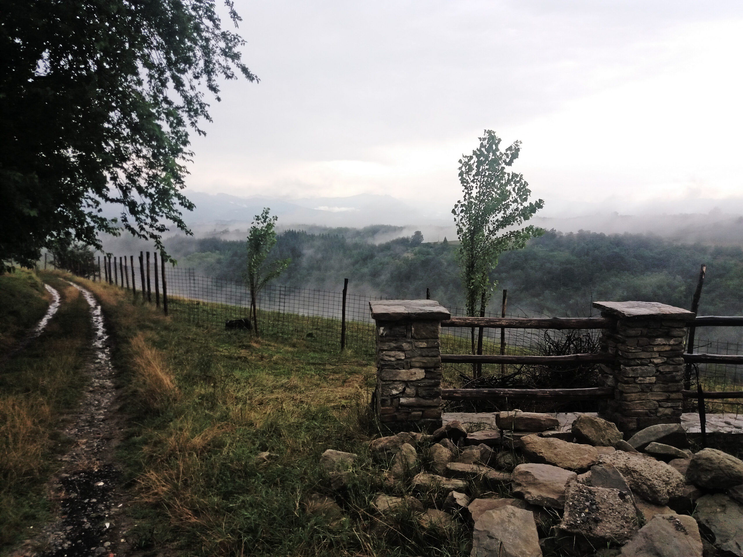 20190727_163144